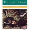 PM Library Gold Tasmanian Devils Lvl 22: PM Library: Gold