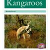 PM Library Turquoise Kangaroos Lvl 18-19: PM Library: Turquoise
