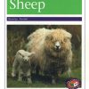 PM Library Purple Sheep Lvl 19-20: PM Library: Purple