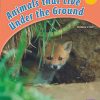New! PM Library Orange Level 16 Animals That Live Under The Ground 6-pack