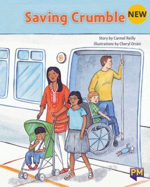 New! PM Library Turquoise Level 17 Saving Crumble 6-pack