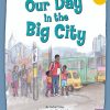 New! PM Library Turquoise Level 17 Our Day in the Big City 6-pack