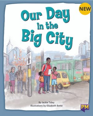 New! PM Library Turquoise Level 17 Our Day in the Big City 6-pack