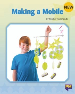 New! PM Library Turquoise Level 17 Making a Mobile 6-pack