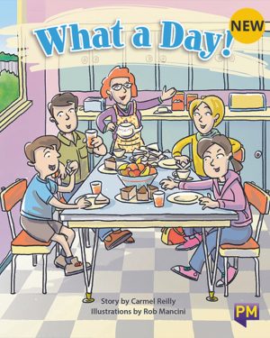 New! PM Library Turquoise Level 17 What a Day! 6-pack