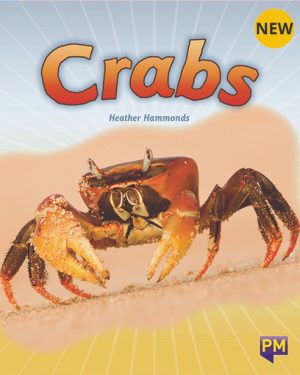 New! PM Library Turquoise Level 18 Crabs 6-pack