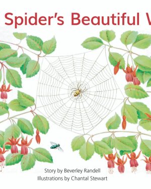 PM Library Green Level 13 Mrs Spider's Beautiful Web 6-pack