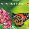 New! PM Library Magenta Level 1 The Monarch Butterfly (wordless) 6-pack