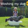 New! PM Library Magenta Level 1 Washing my dog (wordless) 6-pack