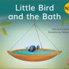 New! PM Library Red Level 3 Little Bird and the Bath 6-pack