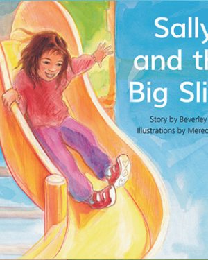 New! PM Library Red Level 4 Sally and the Big Slide 6-pack