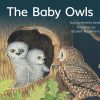 PM Library Red Level 4 The Baby Owls 6-pack