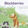 PM Library Yellow Level 6 Blackberries 6-pack