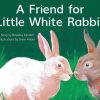 PM Library Yellow Level 8 A Friend for Little White Rabbit 6-pack
