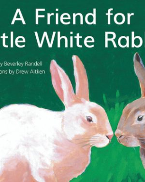 PM Library Yellow Level 8 A Friend for Little White Rabbit 6-pack