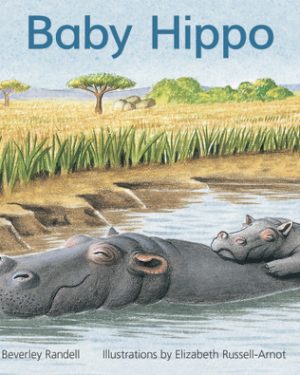 PM Library Yellow Level 6 Baby Hippo 6-pack