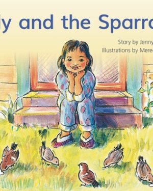 PM Library Yellow Level 7 Sally and the Sparrows 6-pack