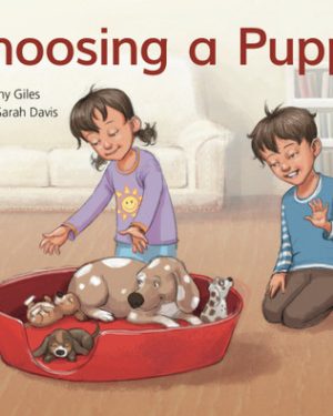PM Library Yellow Level 7 Choosing a Puppy 6-pack