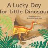 PM Library Yellow Level 8 A Lucky Day for Little Dinosaur 6-pack