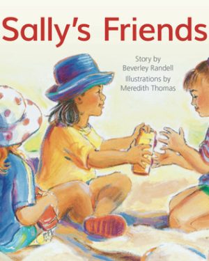PM Library Blue Level 9 Sally's Friends 6-pack