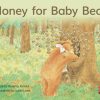 PM Library Blue Level 9 Honey for Baby Bear 6-pack