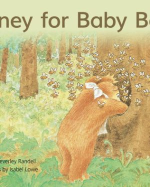 PM Library Blue Level 9 Honey for Baby Bear 6-pack
