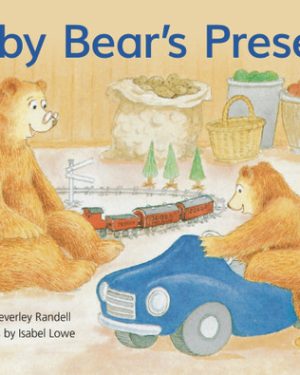 PM Library Blue Level 10 Baby Bear's Present 6-pack
