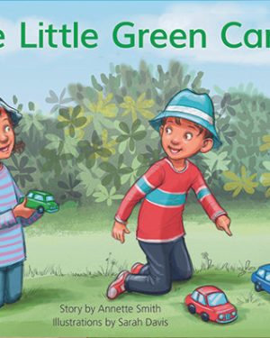 New! PM Library Yellow Level 6 The Little Green Car 6-pack