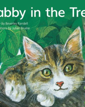 PM Library Blue Level 10 Tabby in the Tree 6-pack