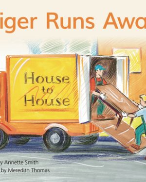 PM Library Blue Level 11 Tiger Runs Away 6-pack