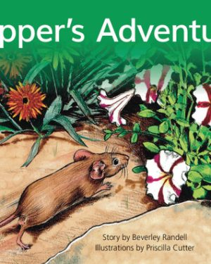 PM Library Green Level 14 Pepper's Adventure 6-pack