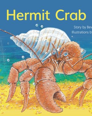 PM Library Yellow Level 7 Hermit Crab 6-pack