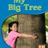 PM Science Facts Red/Yellow Lvl 5-6 Single Copy Set: My Big Tree (6-pack)