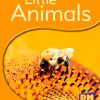 PM Science Facts Yellow/Blue Little Animals Lvl 8-9: Little Animals (6-pack)