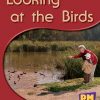 PM Science Facts Yellow/Blue Looking At The Birds Lvl 8-9: Looking At The Birds (6-pack)
